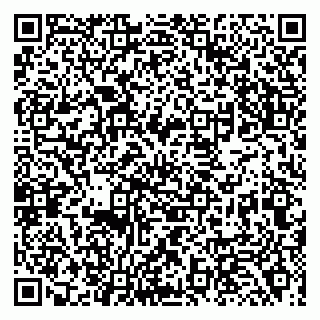 vCard 79138001270
