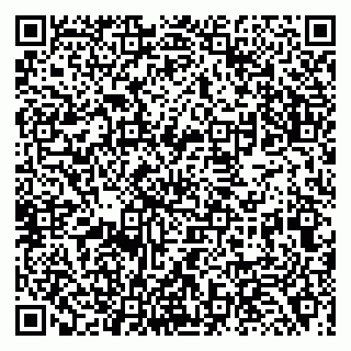 vCard 79138001293