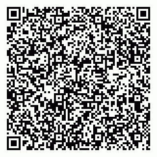 vCard 79138001539