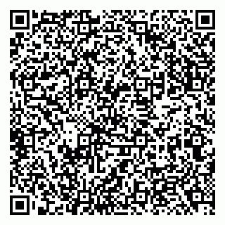 vCard 79138001739