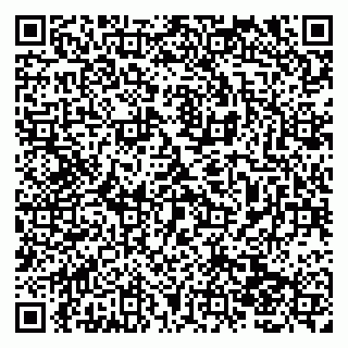 vCard 79138001873
