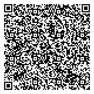 vCard 79138002100