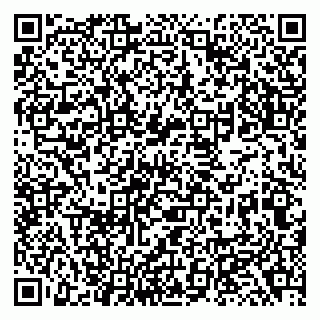 vCard 79138002400