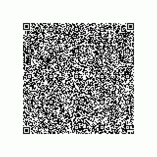 vCard 79138002700