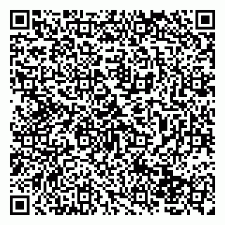 vCard 79138002739