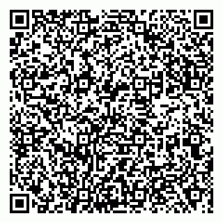 vCard 79138003162