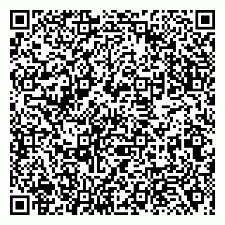 vCard 79138003339