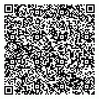 vCard 79138003539