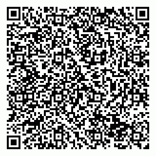 vCard 79138004105