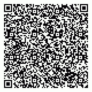 vCard 79138004106