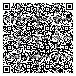 vCard 79138004108