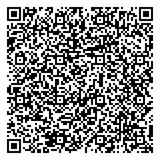 vCard 79138004114