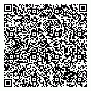 vCard 79138004120