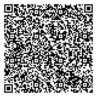 vCard 79138004123