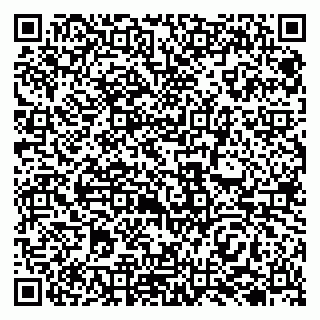 vCard 79138004126