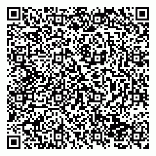 vCard 79138004139