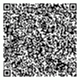vCard 79138004165