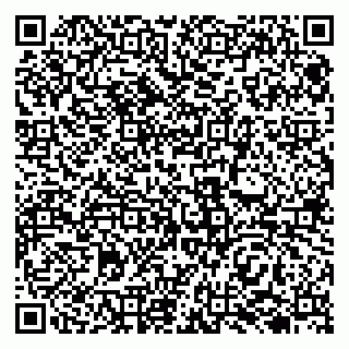 vCard 79138004177