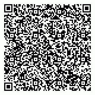 vCard 79138004194