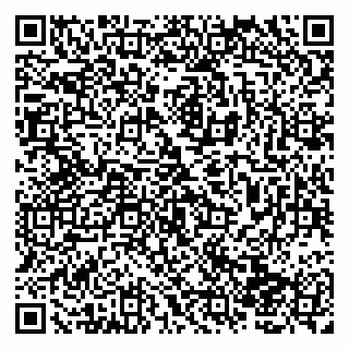 vCard 79138004198