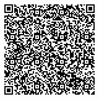 vCard 79138004221
