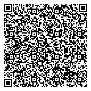 vCard 79138004222