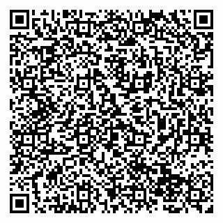 vCard 79138004283