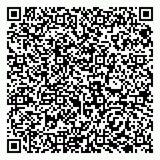 vCard 79138004363