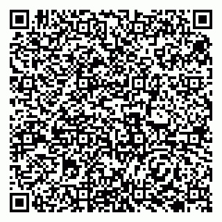 vCard 79138004379