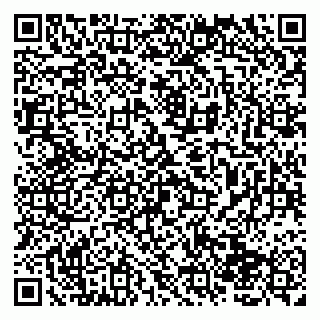 vCard 79138004389