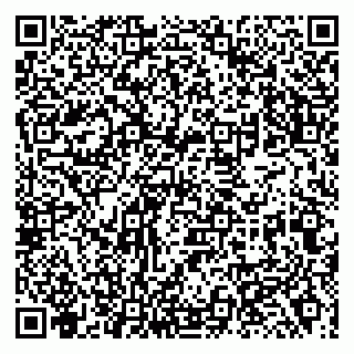 vCard 79138004453
