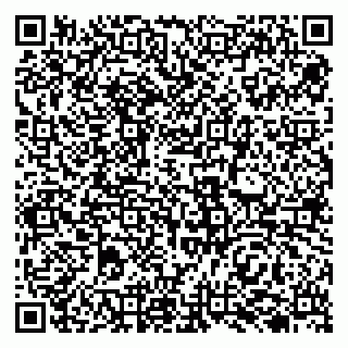 vCard 79138004839