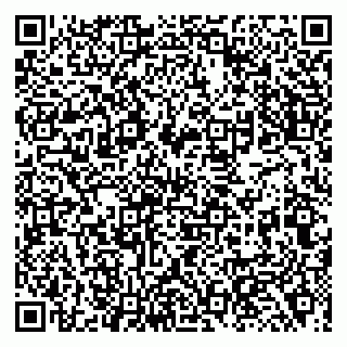 vCard 79138005039