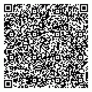 vCard 79138005439