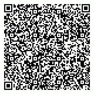 vCard 79138005739