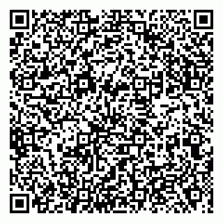 vCard 79138006739