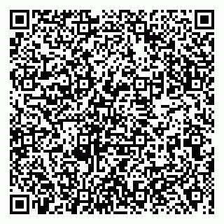 vCard 79138007439