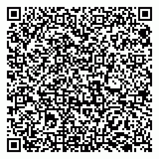 vCard 79138009500