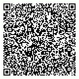 vCard 79138009539