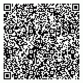 vCard 79138009739