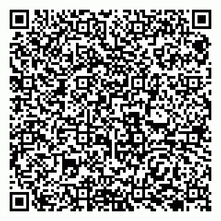 vCard 79138009973