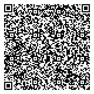vCard 79138010439