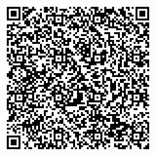 vCard 79138010539