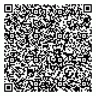 vCard 79138010839