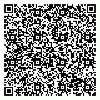 vCard 79138011120