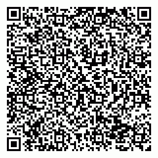 vCard 79138011139