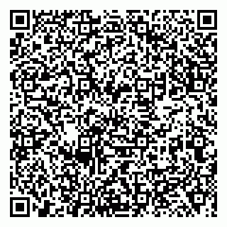 vCard 79138011421