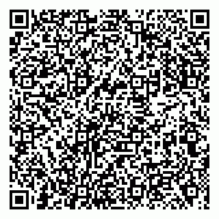 vCard 79138012739