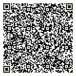 vCard 79138012839