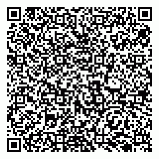 vCard 79138012939